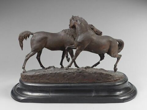 Tachiani et Nedjebe chevaux arabes, image 2/9