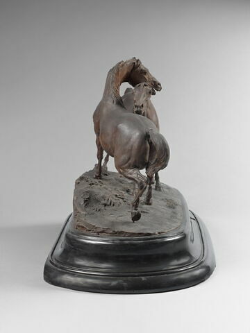 Tachiani et Nedjebe chevaux arabes, image 3/9