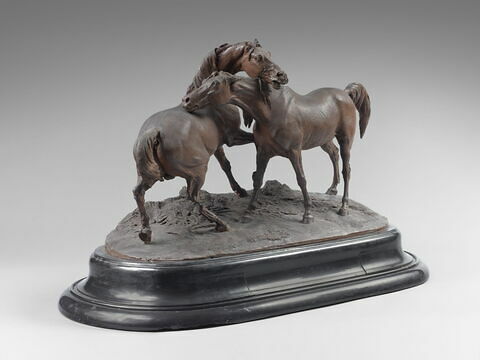 Tachiani et Nedjebe chevaux arabes, image 6/9