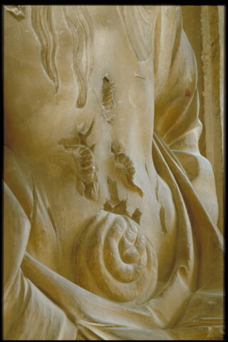 Jeanne de Bourbon Vendôme, duchesse de Bourbon puis comtesse de Boulogne et d'Auvergne (1465-1511), image 8/8