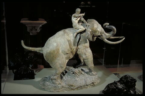 Indien monté sur un éléphant, image 6/8