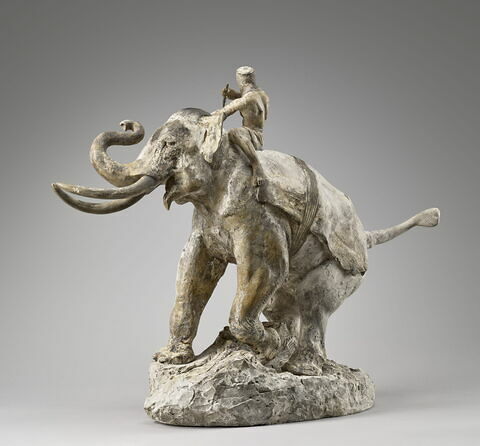 Indien monté sur un éléphant, image 4/8
