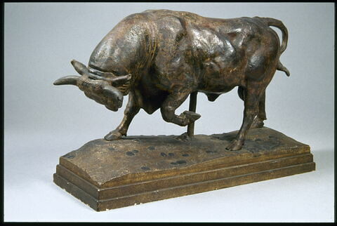 Taureau, image 3/6