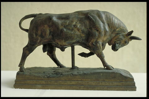 Taureau, image 5/6