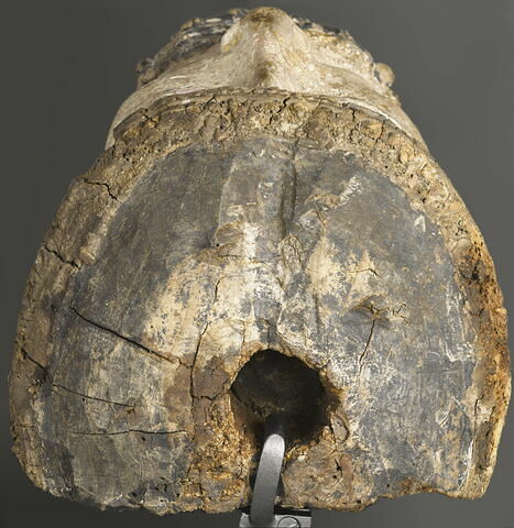 Tête de Christ couronné, image 2/11