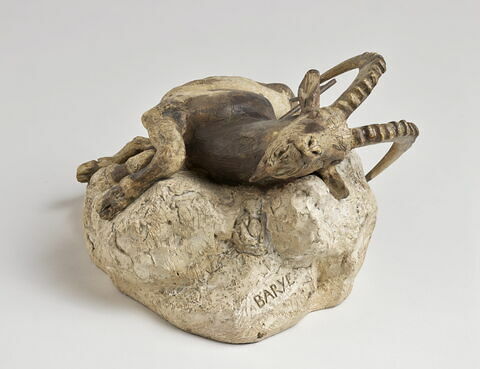 Bouquetin mort, image 2/8