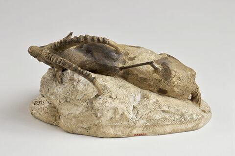 Bouquetin mort, image 3/8