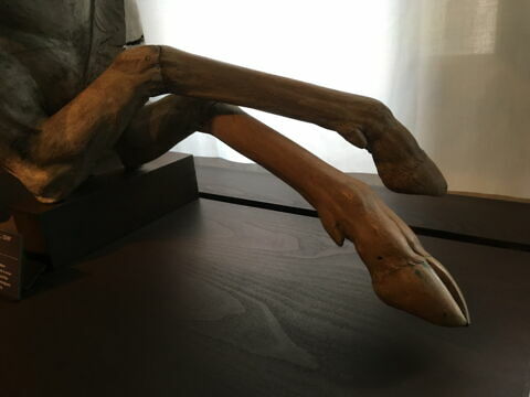 Cerf portant les armes des Granvelle, image 2/4
