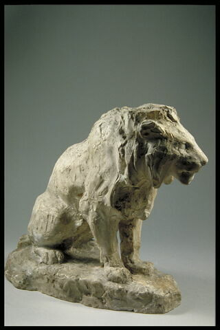 Lion assis, image 2/4
