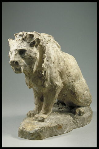 Lion assis, image 3/4