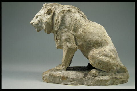 Lion assis, image 4/4