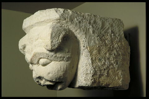 Corbeau décoré d'une tête d'animal, image 3/3