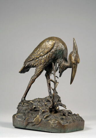 Héron et sa grenouille, image 3/7