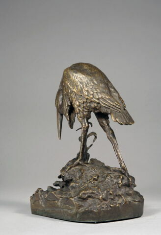 Héron et sa grenouille, image 6/7