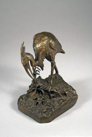 Héron et sa grenouille, image 7/7