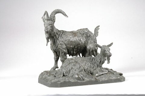 Bouc et chèvre, image 3/8