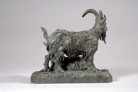 Bouc et chèvre, image 5/8