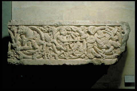 Fragment de linteau à décor de rinceau habité, image 5/5