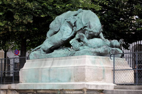 Rhinocéros attaqué par un tigre, image 2/10