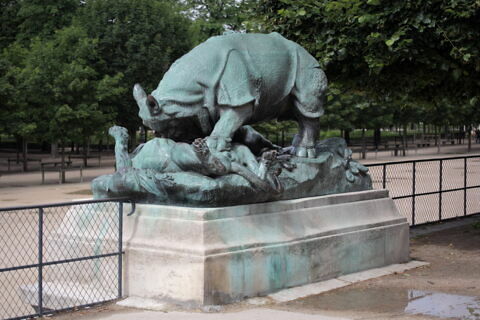 Rhinocéros attaqué par un tigre, image 4/10