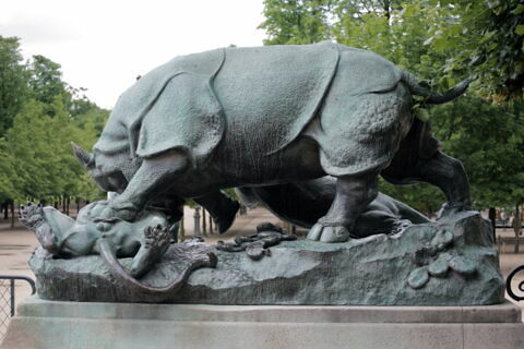 Rhinocéros attaqué par un tigre, image 5/10
