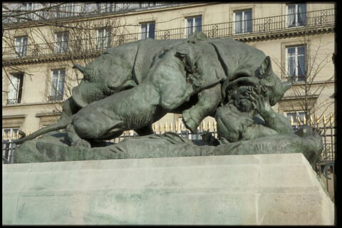 Rhinocéros attaqué par un tigre, image 7/10