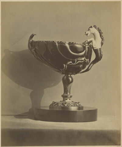 Coupe en forme de coquille, image 5/5