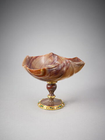 Coupe en forme de coquille