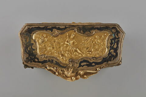 Tabatière aux sujets guerriers, image 3/11