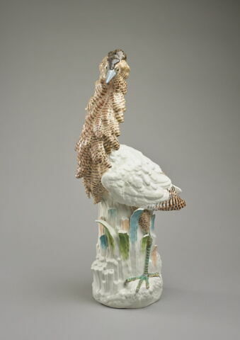 Coq d'Inde, image 2/5
