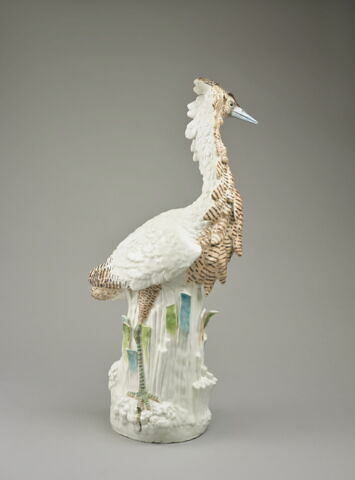 Coq d'Inde, image 3/5