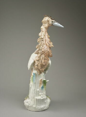 Coq d'Inde, image 4/5