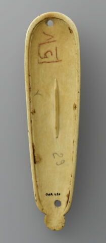 Râpe à tabac : Flore, image 2/2