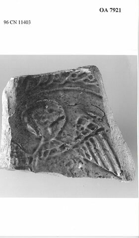 Fragment de base d'un plat orné d'un oiseau nimbé, image 2/2