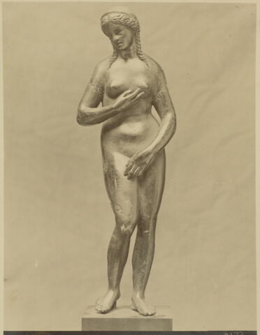 Statuette : Vénus pudique, image 4/4