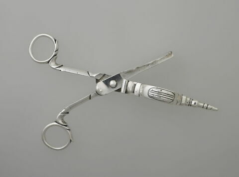 Mouchettes et plateau, image 5/7