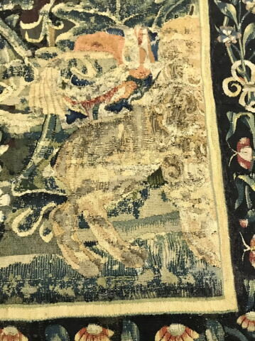 Verdure, image 4/16