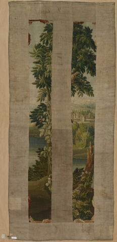 Verdure d'entre-fenêtres avec un arbre et une souche, image 8/8