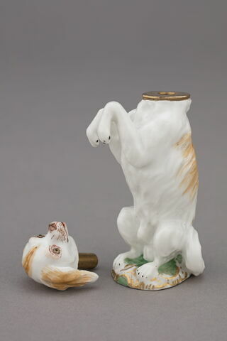 Chien, image 3/4