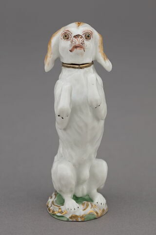 Chien, image 4/4
