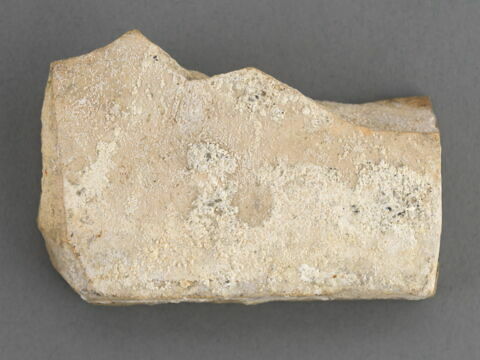 Fragment de carreau : décor végétal, image 2/3