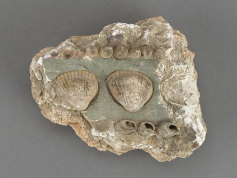 Fragment d'enduit mural, image 2/2
