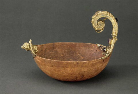 Coui des Indes, image 9/12