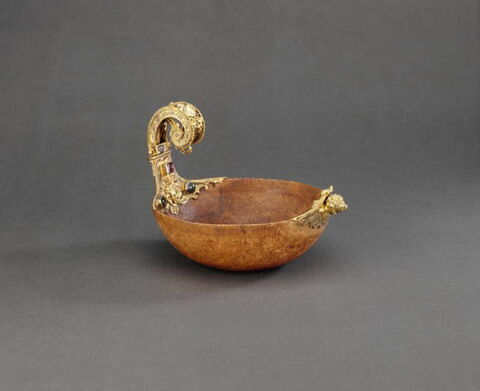 Coui des Indes, image 8/12
