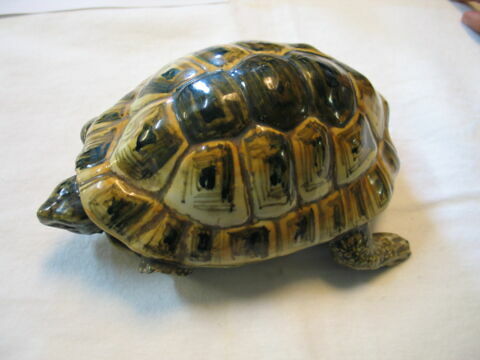 Statuette : tortue, image 2/3