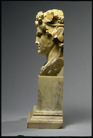 Pilier hermaïque : faune, image 7/10