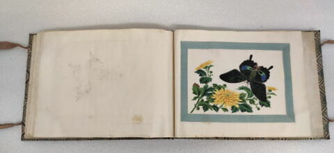 Petit album de peintures d'exportation: fleurs, oiseaux et insectes, image 10/31