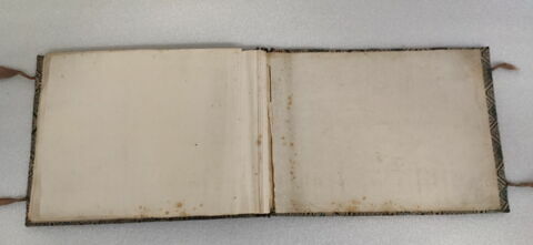 Petit album de peintures d'exportation: fleurs, oiseaux et insectes, image 12/31