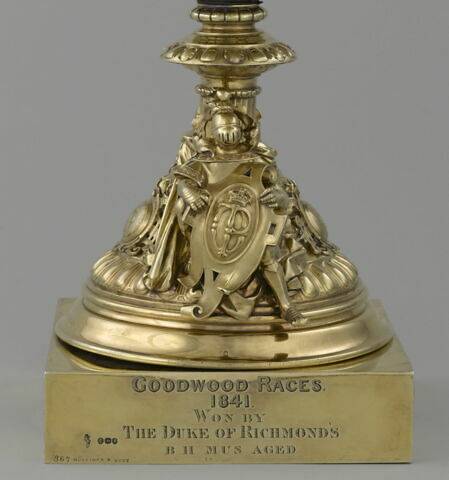 Prix de courses offert par le duc d'Orléans aux courses de Goodwood, image 9/17