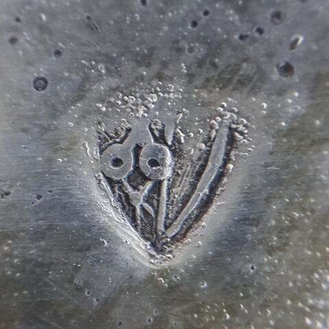 Calice, image 2/7
